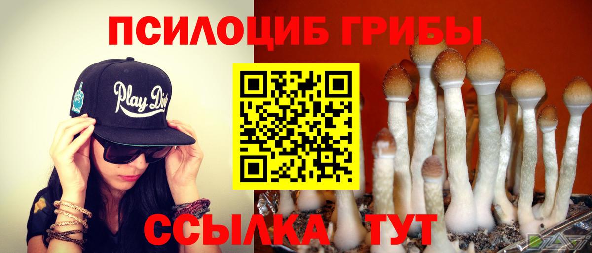 Южноуральск  Псилоцибиновые грибы прущие грибы  Вход с VPN  закладка  Псилоцибиновые грибы мухоморы 